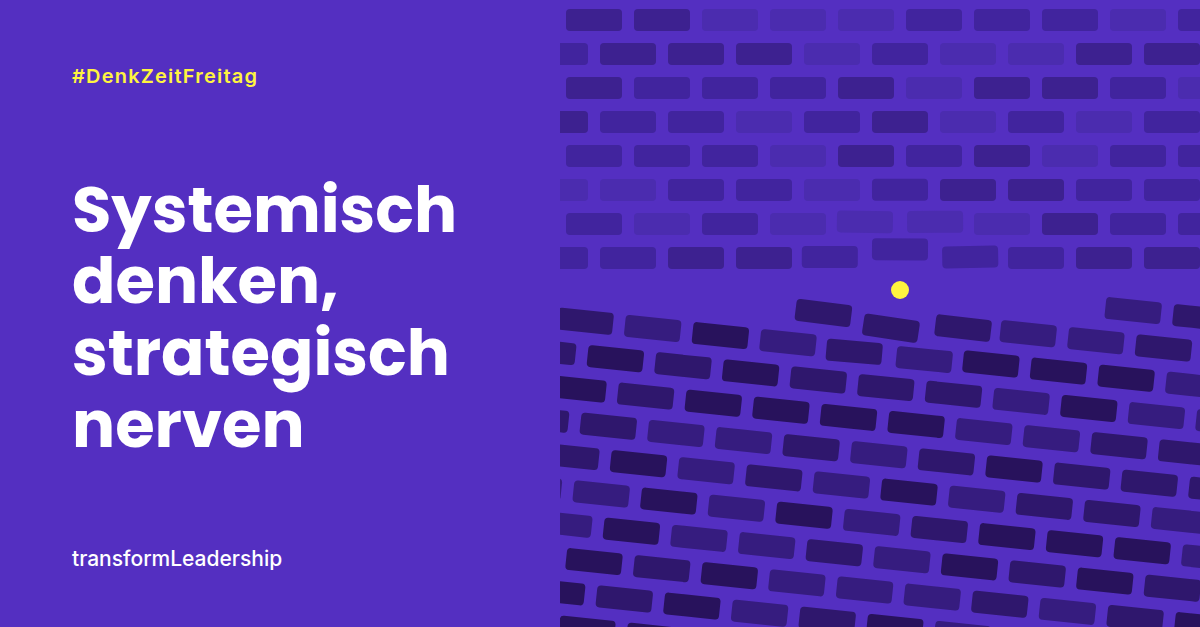 Systemisch denken, strategisch nerven